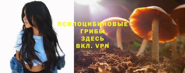 а пвп мука Алексеевка