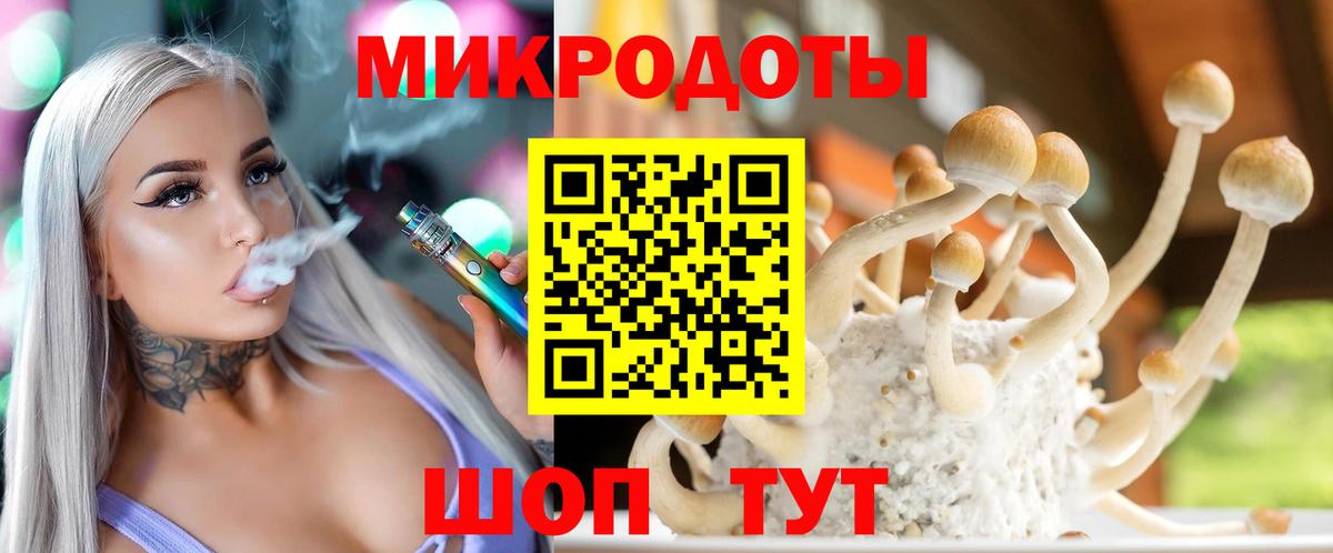 Якутск  Псилоцибиновые грибы прущие грибы  Галлюциногенные грибы Psilocybine cubensis  Вход с VPN 